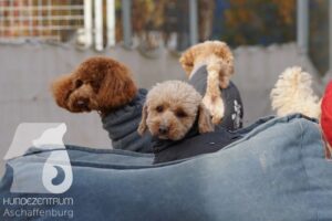 Hutamix-25-11-w17-026