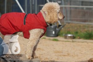 Hutamix-25-11-w17-027