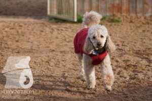 Hutamix-25-11-w17-028