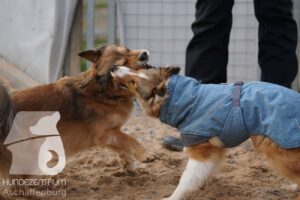 Hutamix-25-11-w17-030