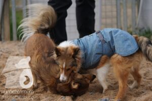 Hutamix-25-11-w17-031