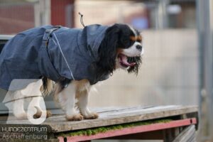 Hutamix-25-11-w17-032