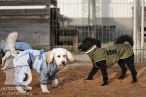 Hutamix-25-11-w17-033