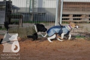 Hutamix-25-11-w17-034