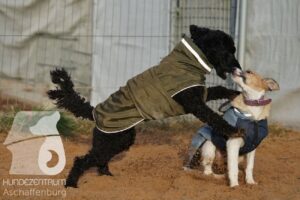 Hutamix-25-11-w17-035