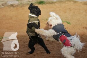 Hutamix-25-11-w17-036