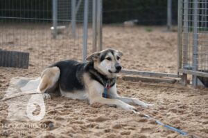 Hutamix-25-11-w17-037