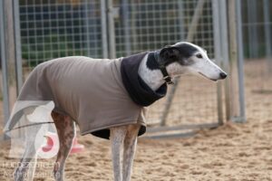 Hutamix-25-11-w17-038