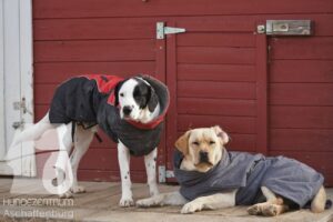 Hutamix-25-11-w17-039