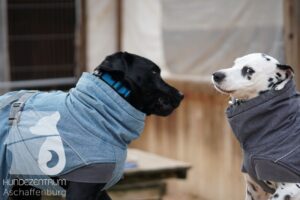 Hutamix-25-11-w17-040