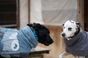 Hutamix-25-11-w17-041