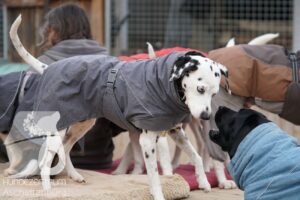 Hutamix-25-11-w17-042