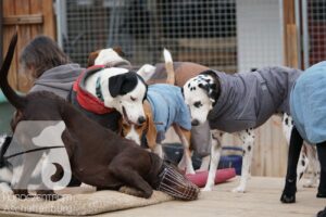 Hutamix-25-11-w17-045