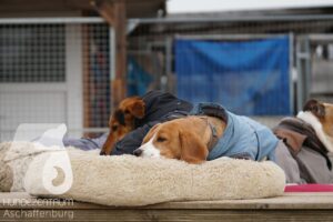 Hutamix-25-11-w17-046