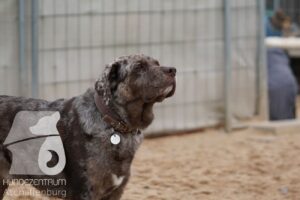 Hutamix-25-11-w17-047