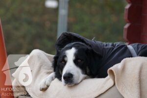 Hutamix-25-11-w17-048