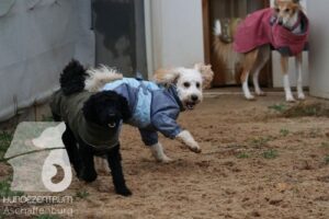 Hutamix-25-11-w17-050