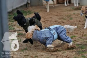 Hutamix-25-11-w17-052