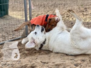 Hutamix-25-11-w17-053