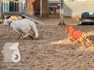 Hutamix-25-11-w17-054