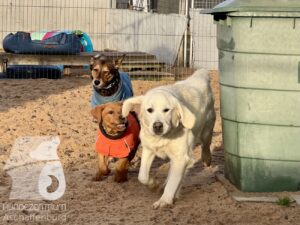 Hutamix-25-11-w17-055