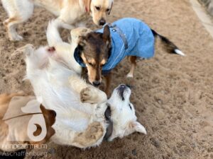 Hutamix-25-11-w17-057