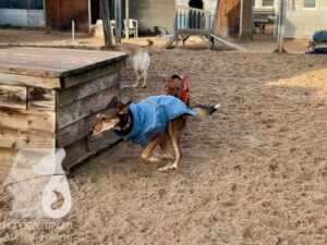 Hutamix-25-11-w17-058