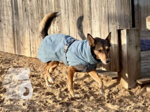 Hutamix-25-11-w17-059