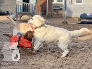 Hutamix-25-11-w17-060