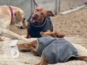 Hutamix-25-11-w17-067