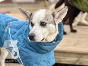 Hutamix-25-11-w17-068