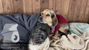 Hutamix-25-11-w17-069