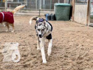 Hutamix-25-11-w17-071