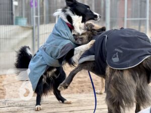 Hutamix-25-11-w17-072