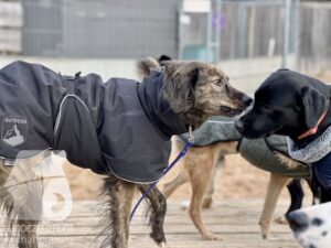 Hutamix-25-11-w17-074