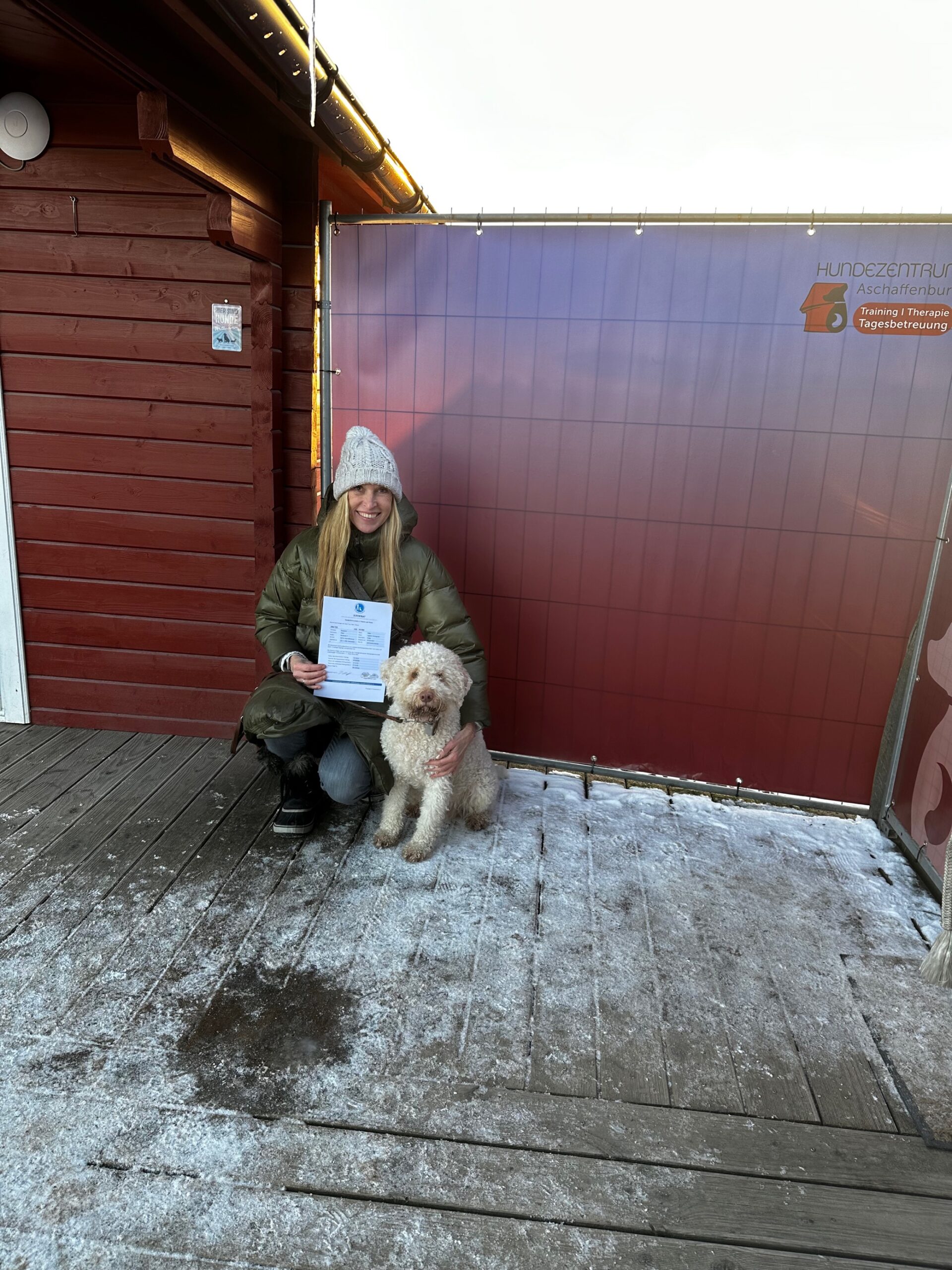 MicrosoftTeams-image (373)