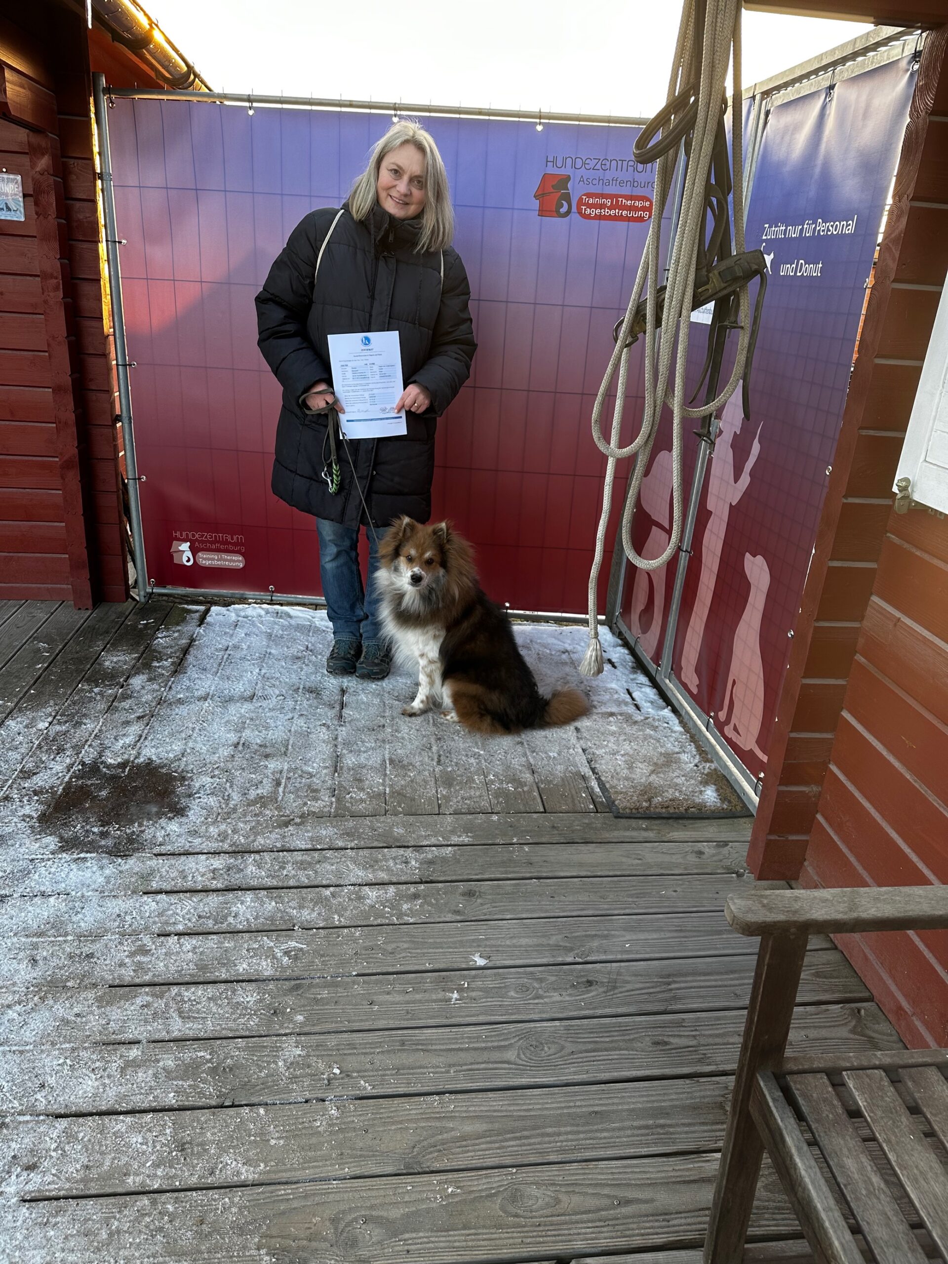 MicrosoftTeams-image (374)