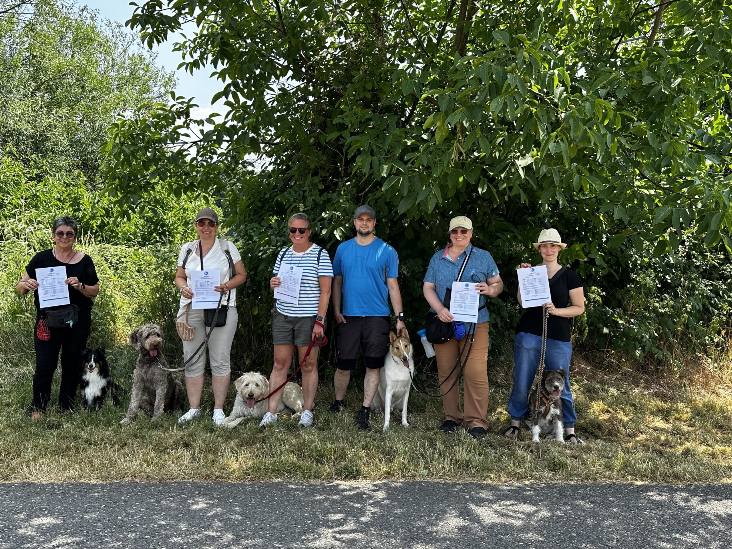 MicrosoftTeams-image