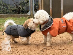 Hutabilder-25-12-w01-0003