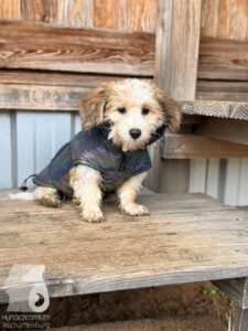 Hutabilder-25-12-w01-0005