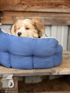 Hutabilder-25-12-w01-0006