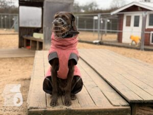 Hutabilder-25-12-w01-0007