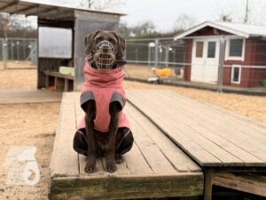 Hutabilder-25-12-w01-0008