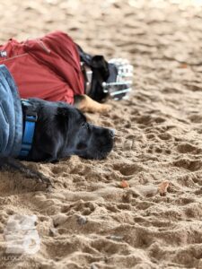 Hutabilder-25-12-w01-0009