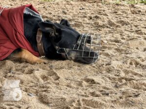 Hutabilder-25-12-w01-0010