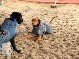 Hutabilder-25-12-w01-0011