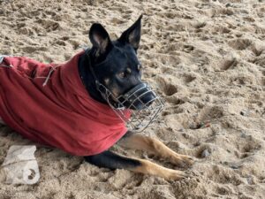 Hutabilder-25-12-w01-0012