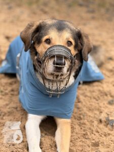 Hutabilder-25-12-w01-0013