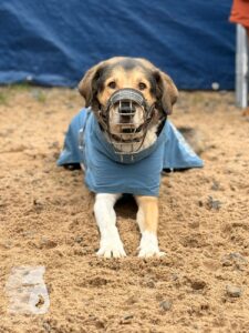 Hutabilder-25-12-w01-0014