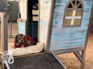 Hutabilder-25-12-w01-0016